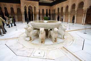 photo,material,free,landscape,picture,stock photo,Creative Commons,Alhambra Palace Lion patio, , , , 