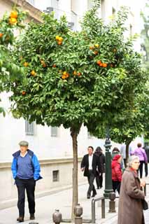 Foto, materiell, befreit, Landschaft, Bild, hat Foto auf Lager,Granada Stadt, , , , 