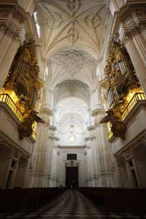 fotografia, materiale, libero il panorama, dipinga, fotografia di scorta,La Cattedrale, , , , 