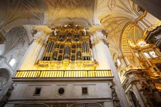 fotografia, materiale, libero il panorama, dipinga, fotografia di scorta,La Cattedrale, , , , 