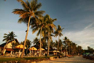 Foto, materiell, befreit, Landschaft, Bild, hat Foto auf Lager,Der Abend eines privaten Strandes, setzen Sie Schirm auf Strand, sandiger Strand, Kokosnussbaum, Das Ufer