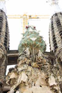 photo,material,free,landscape,picture,stock photo,Creative Commons,The Sagrada Familia, , , , 