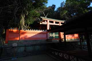 Foto, materieel, vrij, landschap, schilderstuk, bevoorraden foto,Kasuga Taisha heiligdom., , , , 