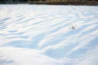 fotografia, materiale, libero il panorama, dipinga, fotografia di scorta,Snow illusione, , , , 