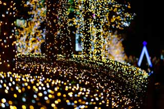 fotografia, materiale, libero il panorama, dipinga, fotografia di scorta,Illuminazione di Shinjuku, , , , 