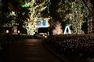 photo, la matire, libre, amnage, dcrivez, photo de la rserve,Shinjuku Illumination, , , , 