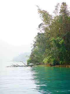 fotografia, materiale, libero il panorama, dipinga, fotografia di scorta,Sun Moon Lake, , , , 