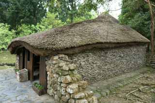 fotografia, materiale, libero il panorama, dipinga, fotografia di scorta,9 La cultura della famiglia Village, , , , 