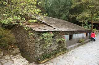 fotografia, materiale, libero il panorama, dipinga, fotografia di scorta,9 La cultura della famiglia Village, , , , 