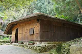 fotografia, materiale, libero il panorama, dipinga, fotografia di scorta,9 La cultura della famiglia Village, , , , 