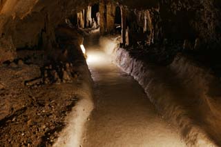 foto,tela,gratis,paisaje,fotografa,idea,Cueva de estalactita de isla de jima de - de Ishigaki, Cueva de estalactita, Estalactita, Piedra caliza, Cueva