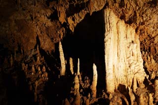 fotografia, material, livra, ajardine, imagine, proveja fotografia,Ishigaki-jima Ilha estalactite caverna, caverna de estalactite, Estalactite, Pedra calcria, caverna