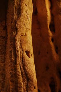 fotografia, materiale, libero il panorama, dipinga, fotografia di scorta,Caverna di stalattite di Isola di Ishigaki-jima, caverna di stalattite, Stalattite, Calcare, caverna