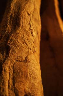 photo, la matire, libre, amnage, dcrivez, photo de la rserve,Caverne de la stalactite d'Ishigaki-jima le, caverne de la stalactite, Stalactite, Calcaire, caverne