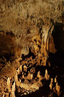 fotografia, material, livra, ajardine, imagine, proveja fotografia,Ishigaki-jima Ilha estalactite caverna, caverna de estalactite, Estalactite, Pedra calcria, caverna