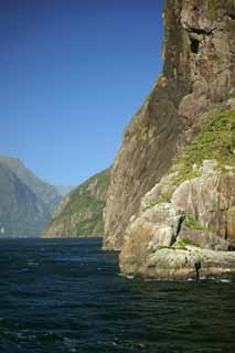 Foto, materieel, vrij, landschap, schilderstuk, bevoorraden foto,Milford Sound, , , , 