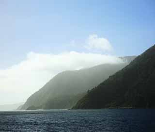 Foto, materiell, befreit, Landschaft, Bild, hat Foto auf Lager,Milford Sound, , , , 