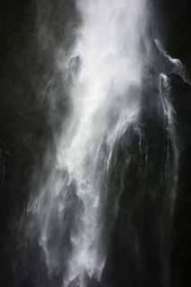 fotografia, material, livra, ajardine, imagine, proveja fotografia,Milford Sound Estaline Cachoeiras, , , , 