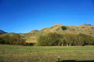 Foto, materiell, befreit, Landschaft, Bild, hat Foto auf Lager,Queenstown, , , , 