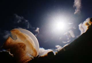 photo,material,free,landscape,picture,stock photo,Creative Commons,A jellyfish and the sun, jellyfish, , , 