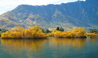 Foto, materiell, befreit, Landschaft, Bild, hat Foto auf Lager,Im Fall des Lake Wakatipu, , , , 