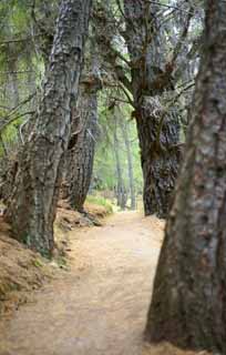 Foto, materiell, befreit, Landschaft, Bild, hat Foto auf Lager,Mountain Trail, , , , 