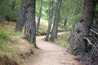 Foto, materieel, vrij, landschap, schilderstuk, bevoorraden foto,Mountain trail, , , , 