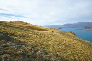 fotografia, materiale, libero il panorama, dipinga, fotografia di scorta,Lago Tekapo, , , , 