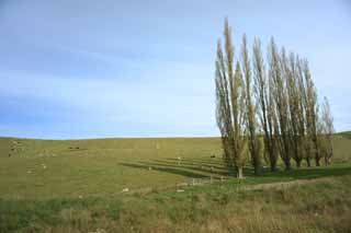 fotografia, materiale, libero il panorama, dipinga, fotografia di scorta,Ranch, , , , 