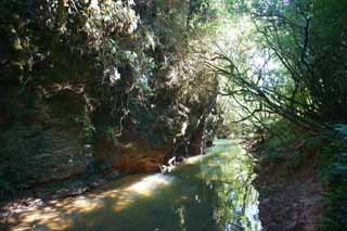 Foto, materieel, vrij, landschap, schilderstuk, bevoorraden foto,De Waitomo glow worm caves, , , , 