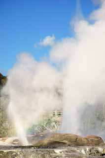 fotografia, materiale, libero il panorama, dipinga, fotografia di scorta,Geyser Pohutu Geyser, , , , 