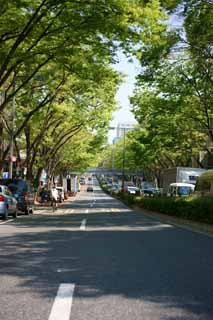 Foto, materiell, befreit, Landschaft, Bild, hat Foto auf Lager,Harajuku Omotesando, , , , 