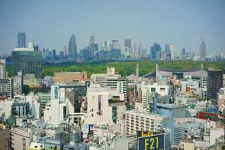 fotografia, materiale, libero il panorama, dipinga, fotografia di scorta,Shibuya, , , , 