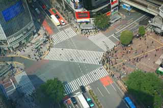 fotografia, materiale, libero il panorama, dipinga, fotografia di scorta,Il rimescolamento delle intersezione di Shibuya, , , , 