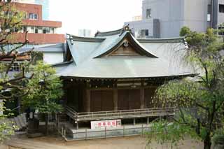 fotografia, materiale, libero il panorama, dipinga, fotografia di scorta,Hatomori Hachiman Santuario, , , , 