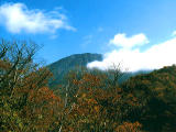 Foto, materieel, vrij, landschap, schilderstuk, bevoorraden foto,Mt. Nantaisan en herfst bomen, , , , 