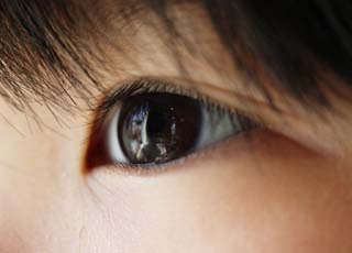 photo,material,free,landscape,picture,stock photo,Creative Commons,Eyes of a girl, eyeball, eyelashe, Eyes, face