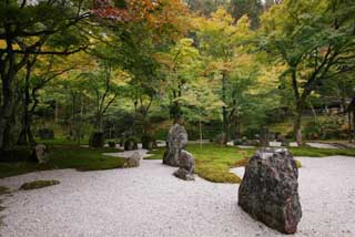 fotografia, materiale, libero il panorama, dipinga, fotografia di scorta,Un giardino di un tempio leggero che appartiene alla setta Zen, giardino, pietra, sabbi sbarra, albero orto