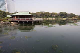 Foto, materiell, befreit, Landschaft, Bild, hat Foto auf Lager,Eine sich ausruhende Htte von Nakashima, Teich, Gebude, Ich bin Japanisch-Stil, Dach