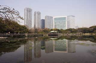 Foto, materieel, vrij, landschap, schilderstuk, bevoorraden foto,Een groepering van Shiodome Building en een waterplas van de schade door de zee water, Waterplas, Gebouw, Ik ben Japanse-trant, 