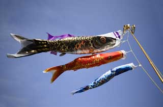 photo,material,free,landscape,picture,stock photo,Creative Commons,Swimming of a carp streamer, dark flag, Koinobori, carp streamer, 