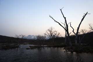 photo, la matire, libre, amnage, dcrivez, photo de la rserve,Une plaine humide d'un matin tt, marais, La surface de l'eau, montagne, arbre