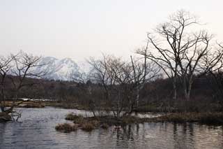 Foto, materiell, befreit, Landschaft, Bild, hat Foto auf Lager,Eine klamme Ebene eines frhen Morgens, Sumpf, Die Oberflche des Wassers, Berg, Baum