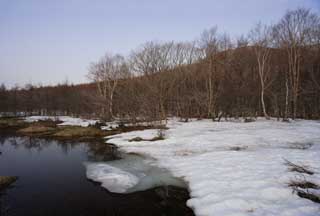 photo, la matire, libre, amnage, dcrivez, photo de la rserve,Une plaine humide d'un dgel, marais, La surface de l'eau, montagne, arbre