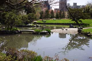 fotografia, materiale, libero il panorama, dipinga, fotografia di scorta,Un giapponese fa del giardinaggio, I giapponesi fanno del giardinaggio, stagno, prato, 