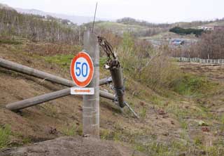 photo,material,free,landscape,picture,stock photo,Creative Commons,Perplexity of a 50km/h mark, Eruption, disaster, telephone pole, traffic sign