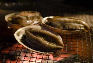 photo,material,free,landscape,picture,stock photo,Creative Commons,The hour of death of an abalone, abalone, , , 