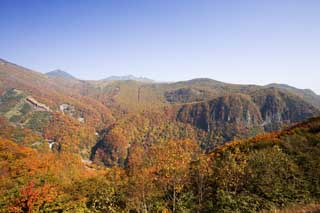 photo, la matire, libre, amnage, dcrivez, photo de la rserve,Feuilles de la lumire du soleil, montagne, rable, ciel bleu, Bave balancent