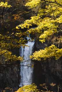 fotografia, materiale, libero il panorama, dipinga, fotografia di scorta,Foglie colorate della luce del sole cascate di Kegon, cascata, Acero, cielo blu, Bave culla