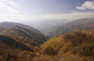 photo,material,free,landscape,picture,stock photo,Creative Commons,It is a mountain of a foot tail from Oku-Nikko half moon Pass, foot tail, Maple, blue sky, mountain